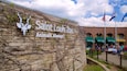 The Saint Louis Zoo sign with vines on the wall.