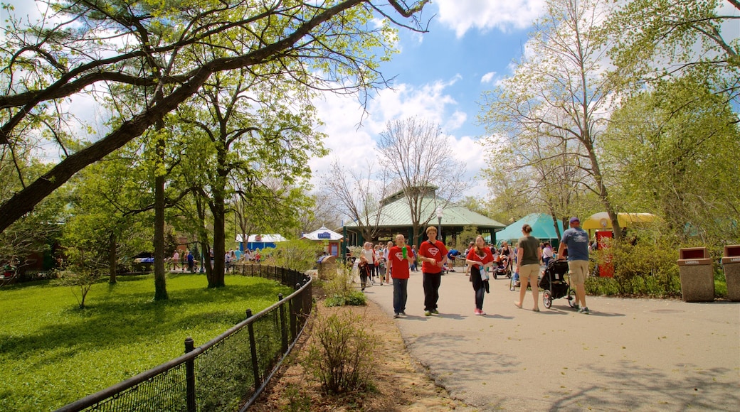 St. Louis Zoo featuring a park as well as a small group of people