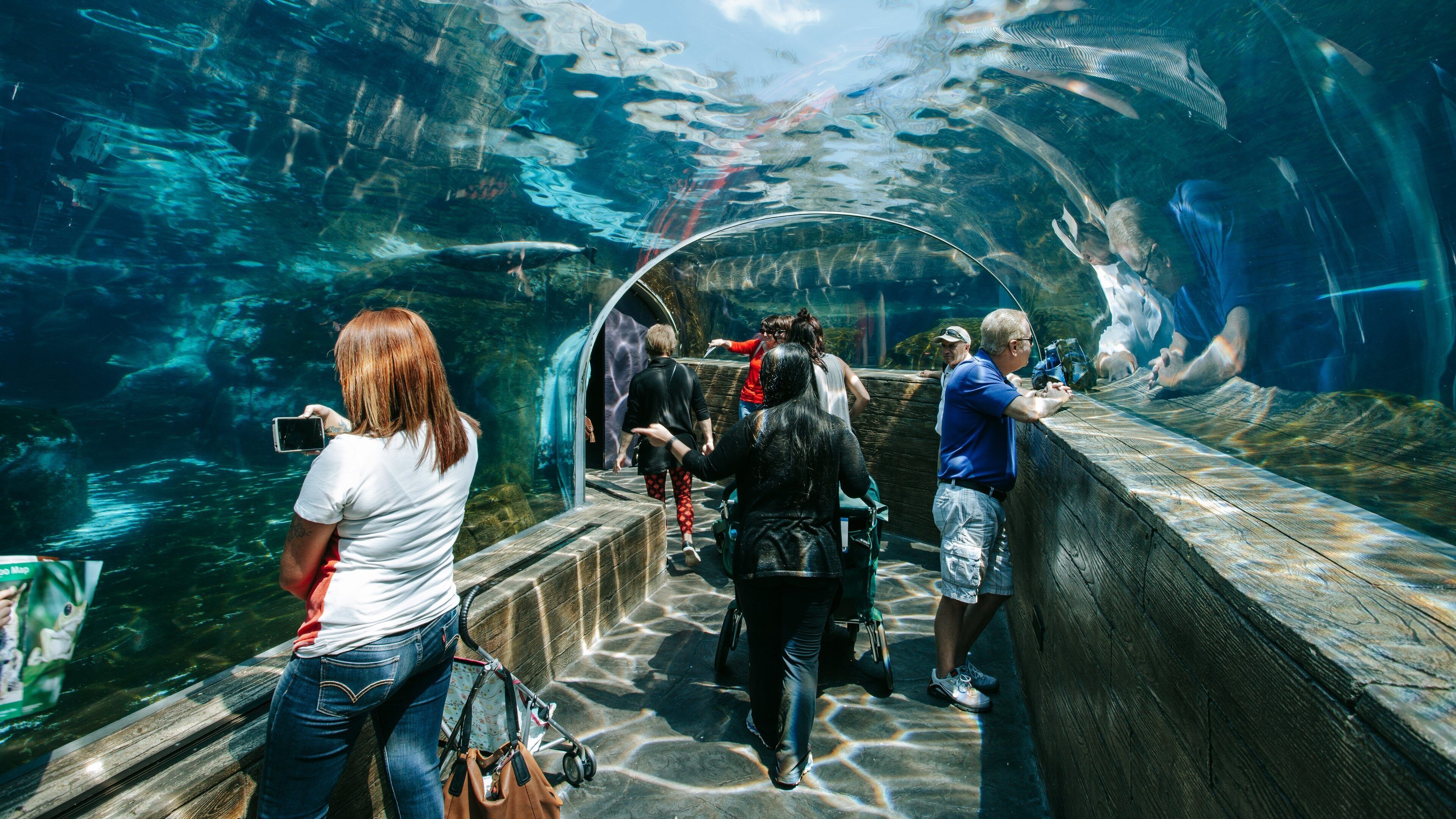 St. Louis Zoo featuring marine life and interior views as well as a small group of people