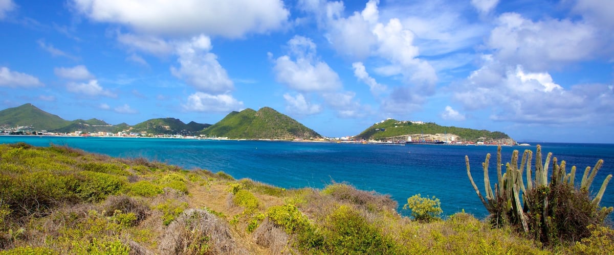 A coastal landscape with clear blue waters, green hills, and a cactus in the foreground.