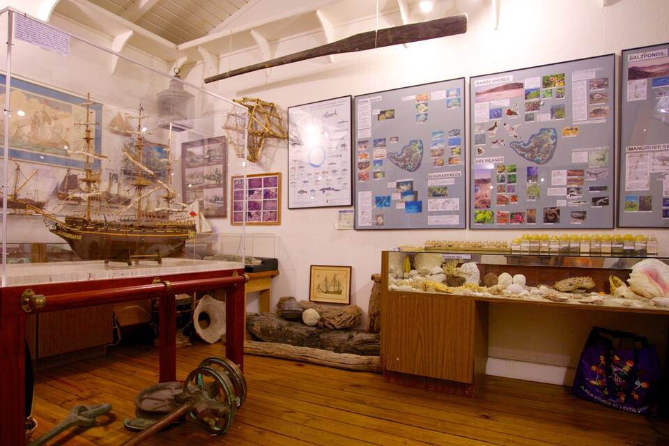 A maritime museum with ship models, nautical charts, and marine artifacts.