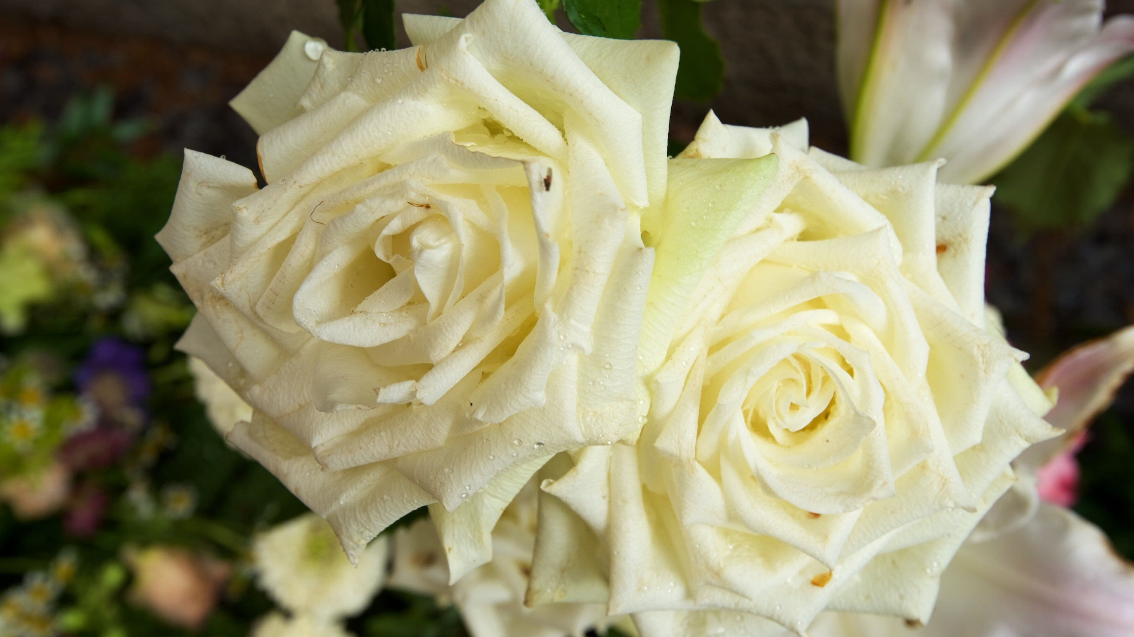 Katarina Kyrka mostrando fiori