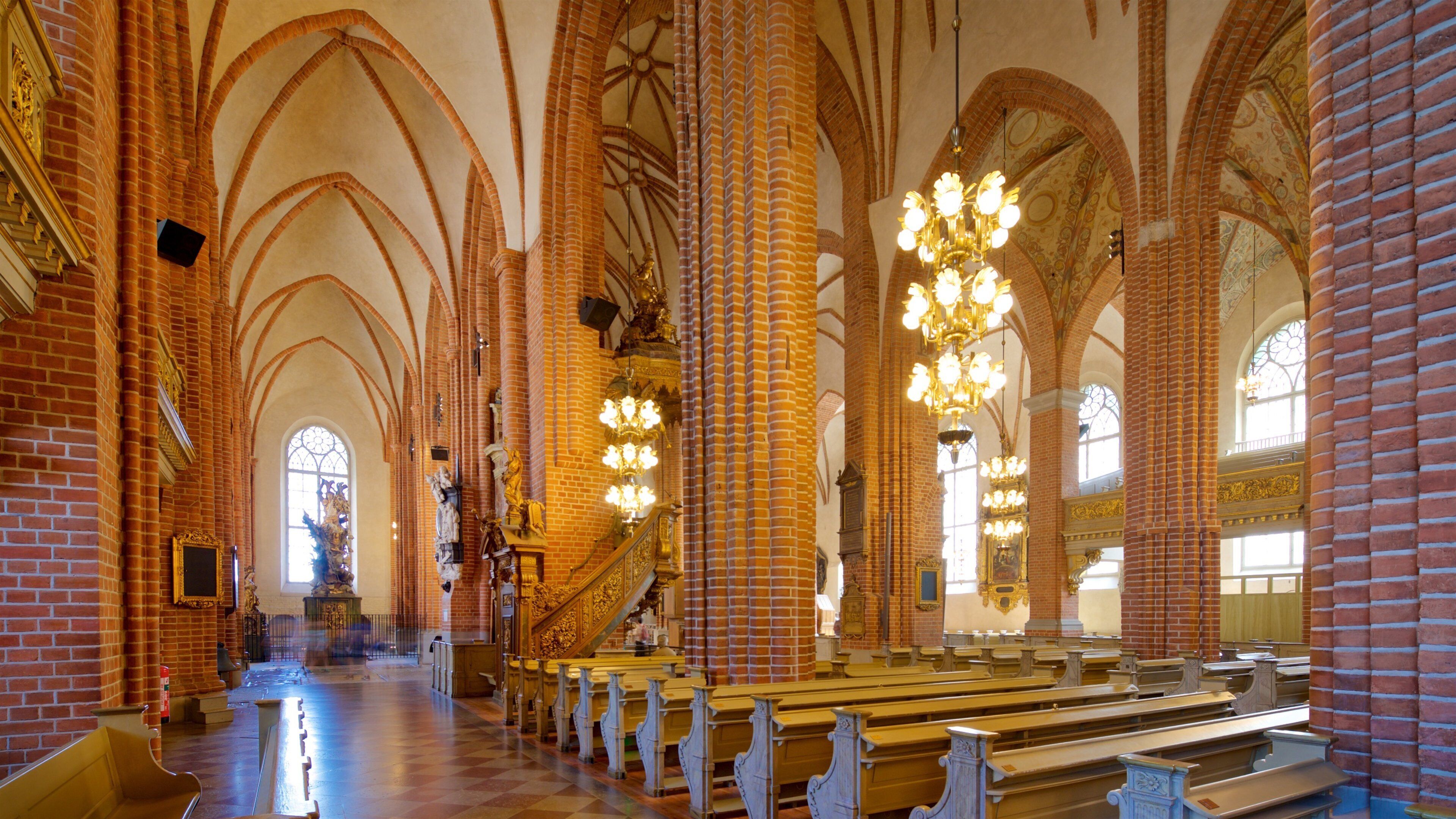 Stockholm Cathedral showing a church or cathedral, heritage elements and interior views