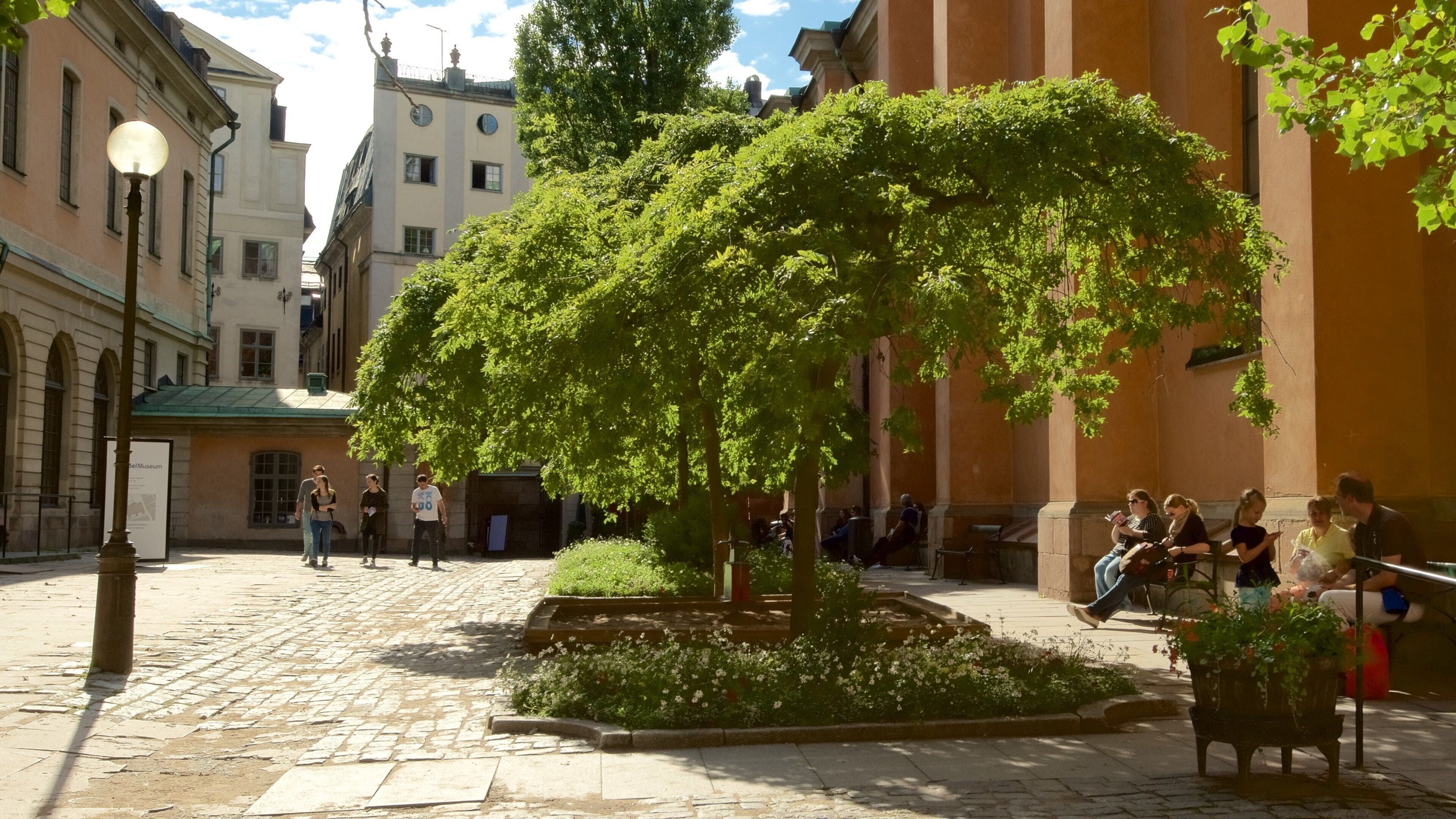 Cathédrale de Stockholm qui includes jardin