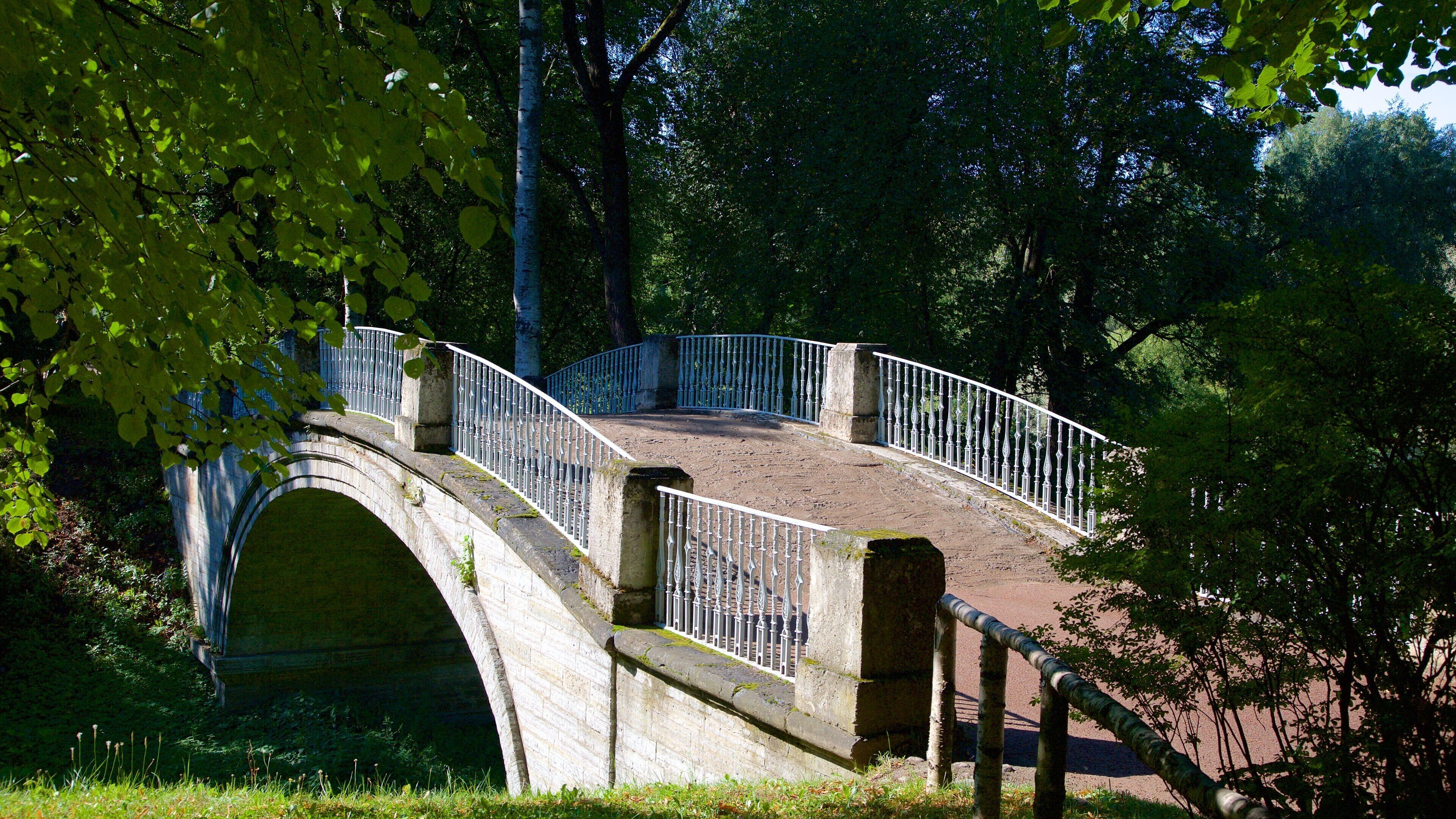 Pavlovsk Palace and Park featuring a bridge