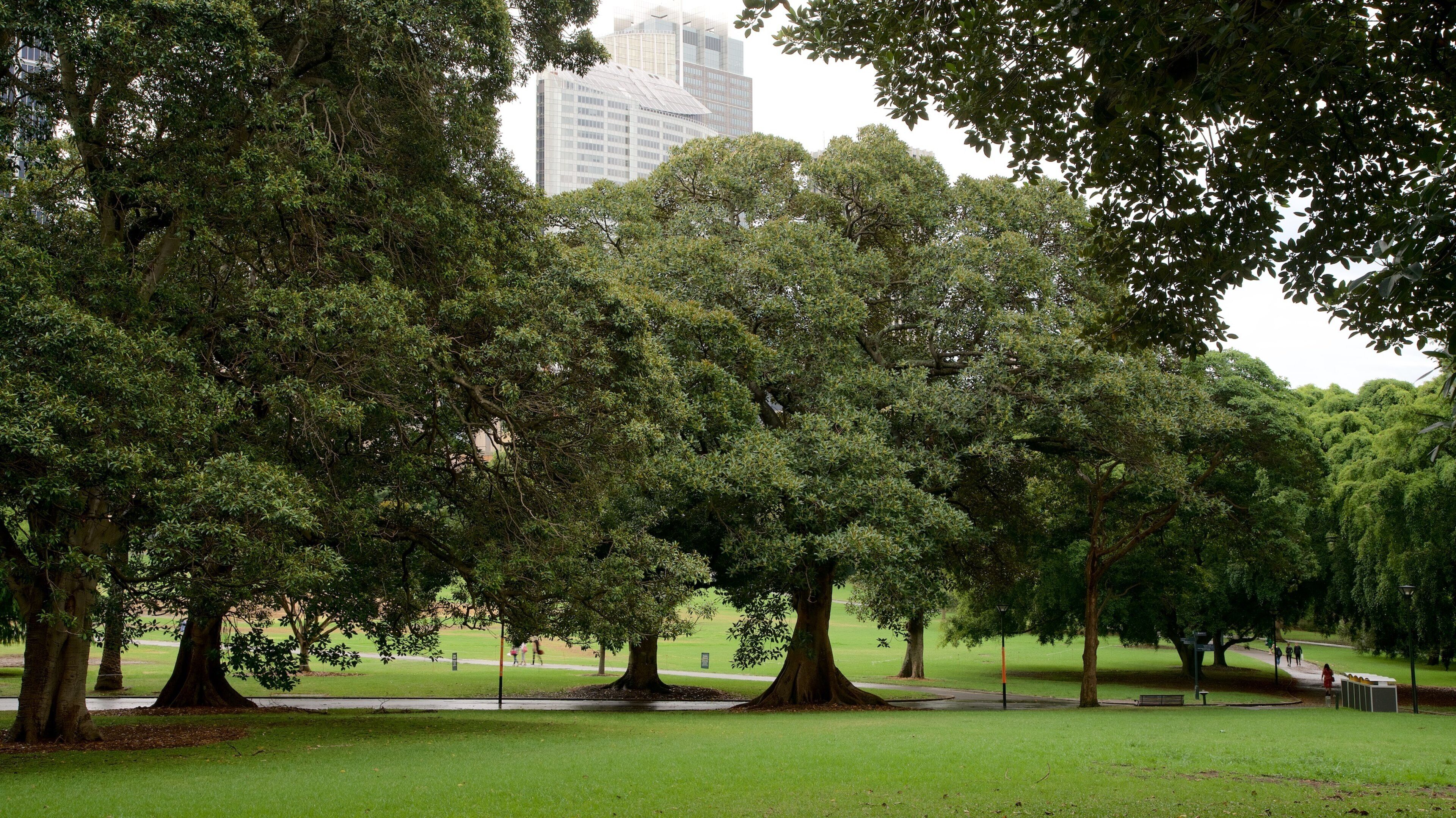 Art Gallery of New South Wales showing a garden