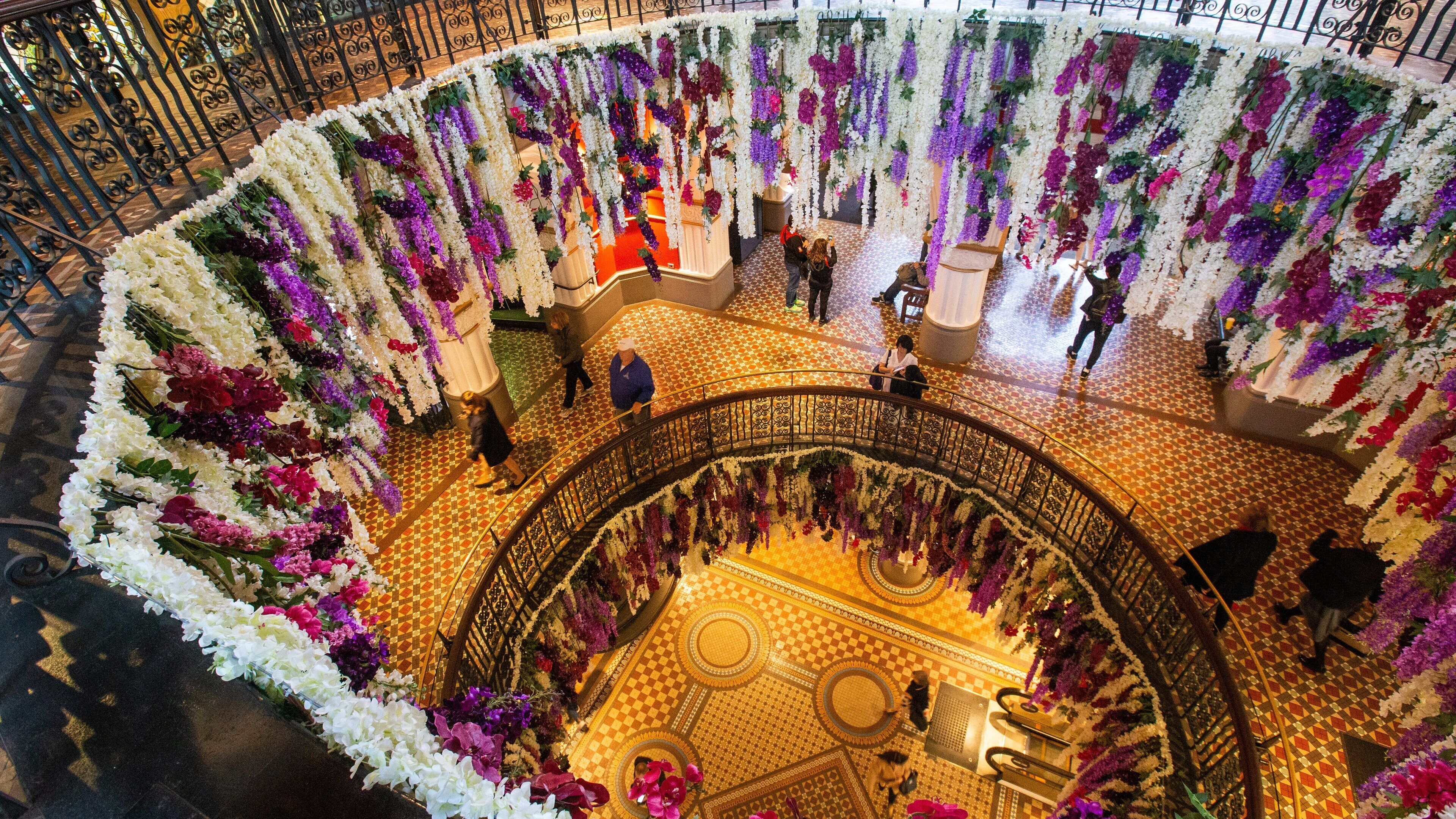 St Maarten and St Martin which includes shopping and interior views