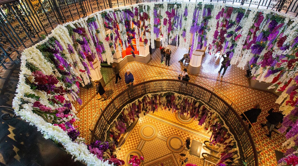 St Maarten and St Martin which includes shopping and interior views