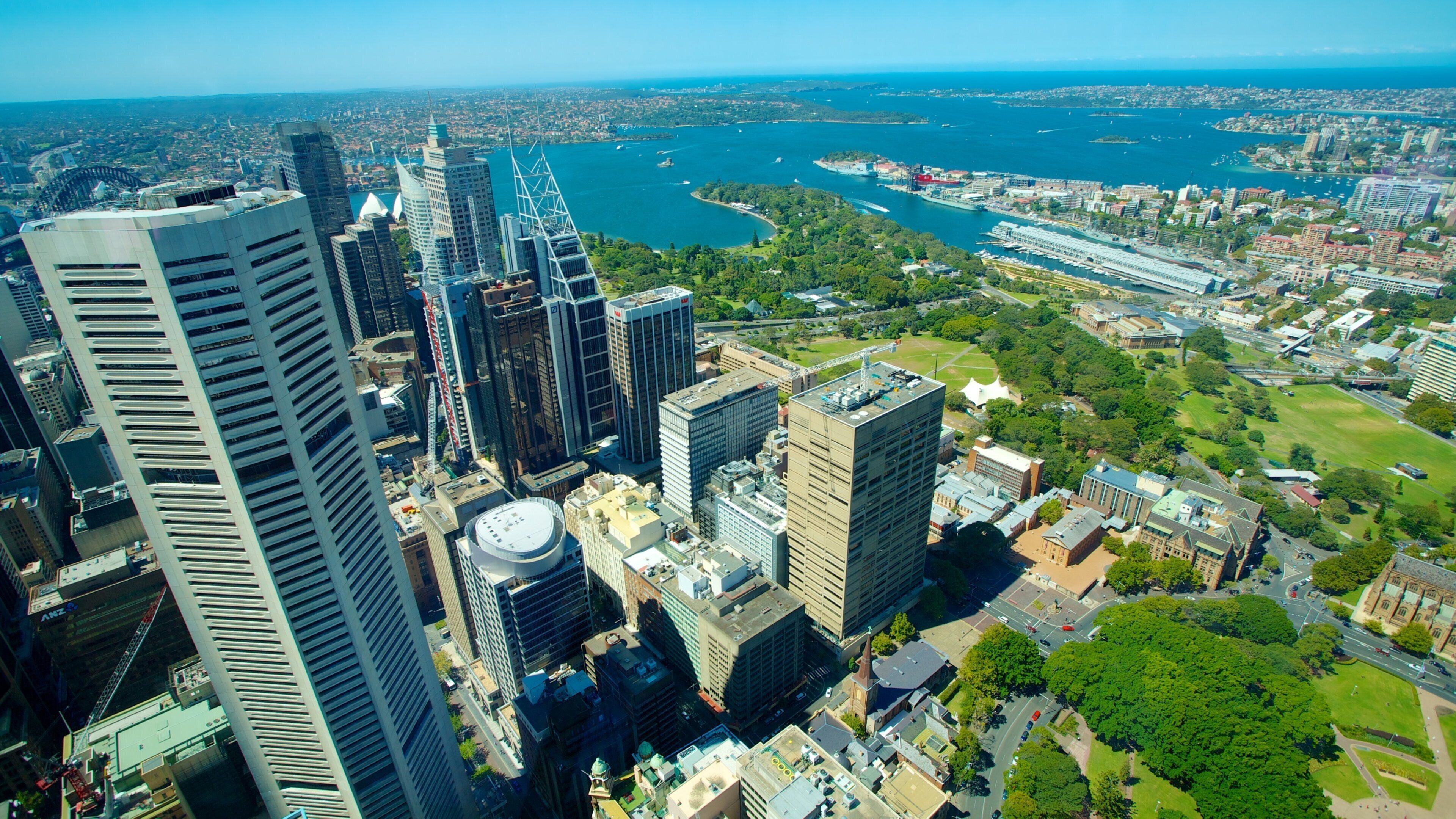 Sydney Tower Eye showing central business district, views and a high rise building
