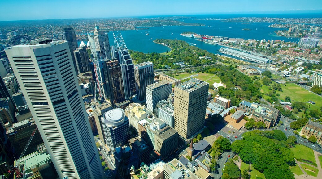 Sydney Tower Eye showing central business district, views and a high rise building