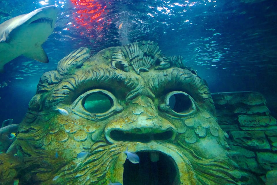 Escena submarina con una gran escultura texturizada que recuerda a un rostro, rodeada de peces y un tiburón al fondo.