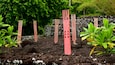 Un jardín con esculturas rojas y plantas verdes.