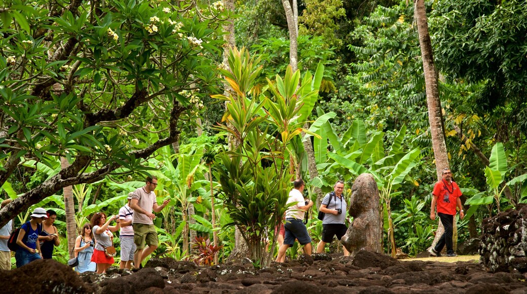 Marae Arahurahu Temple featuring hiking or walking and forest scenes as well as a small group of people