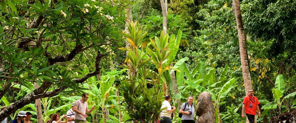 A group of people exploring a lush, tropical forest with dense vegetation and large trees.