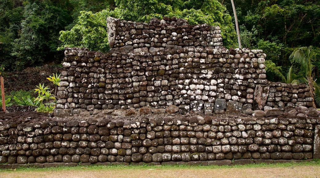 Marae Arahurahu Temple showing heritage elements