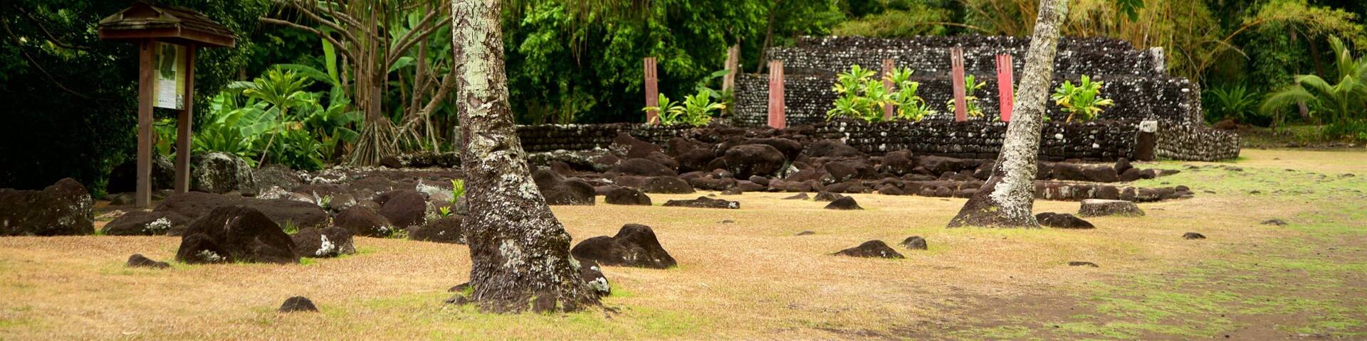 Marae Arahurahu Temple featuring forest scenes