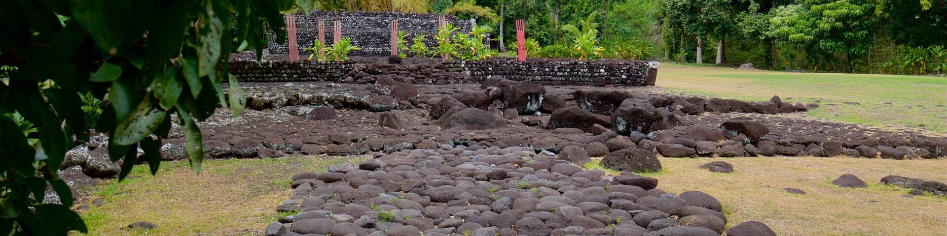 Un sendero de piedra conduce a una construcción tradicional rodeada de exuberante vegetación y palmeras.