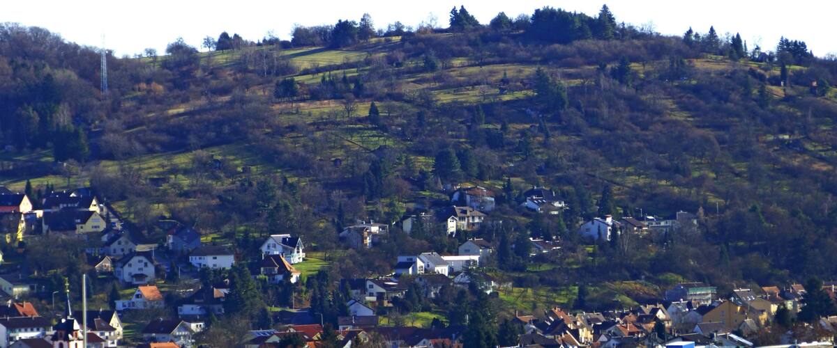 A hillside village with houses and a prominent church.