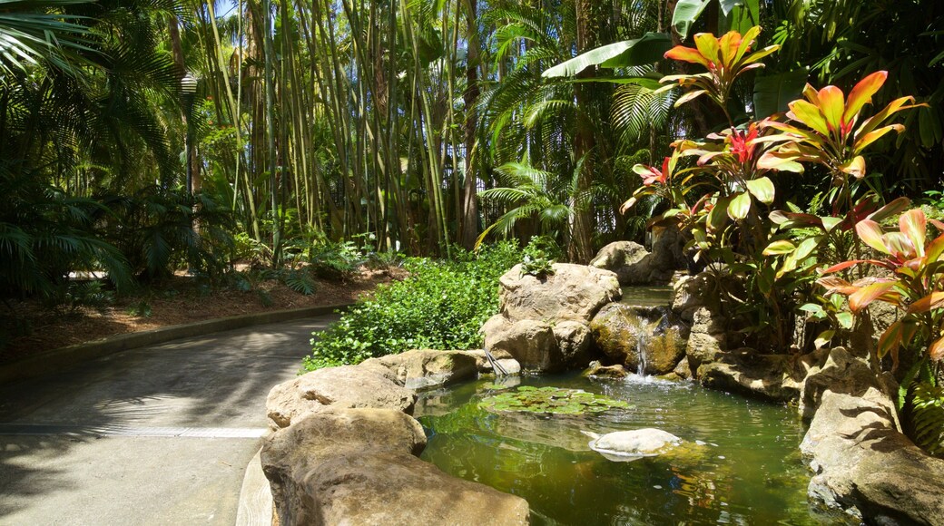 Sunken Gardens which includes a pond and a garden