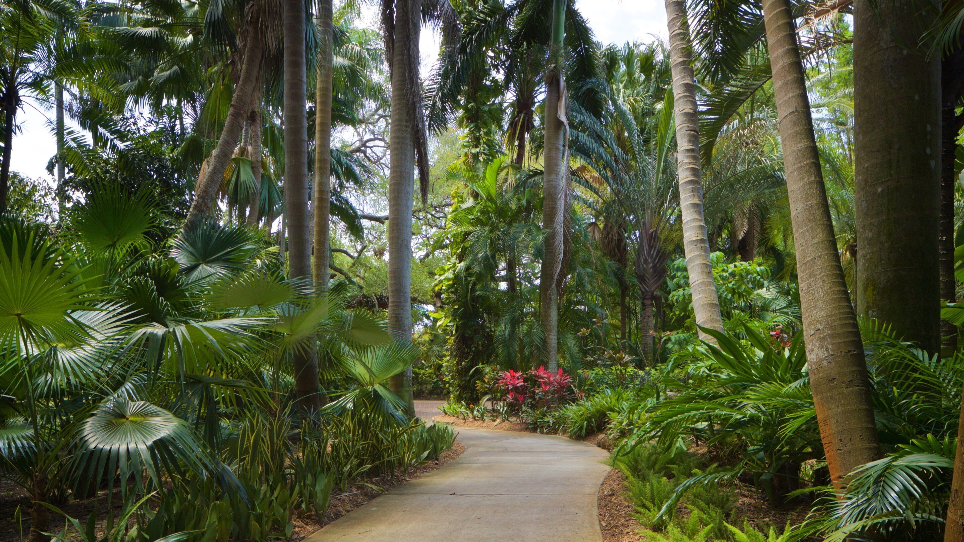 Sunken Gardens featuring a garden