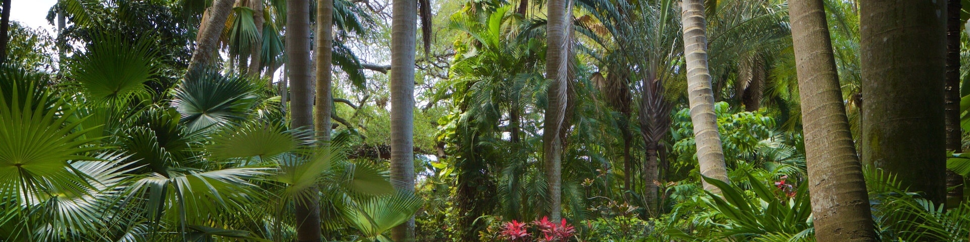 Sunken Gardens featuring a garden