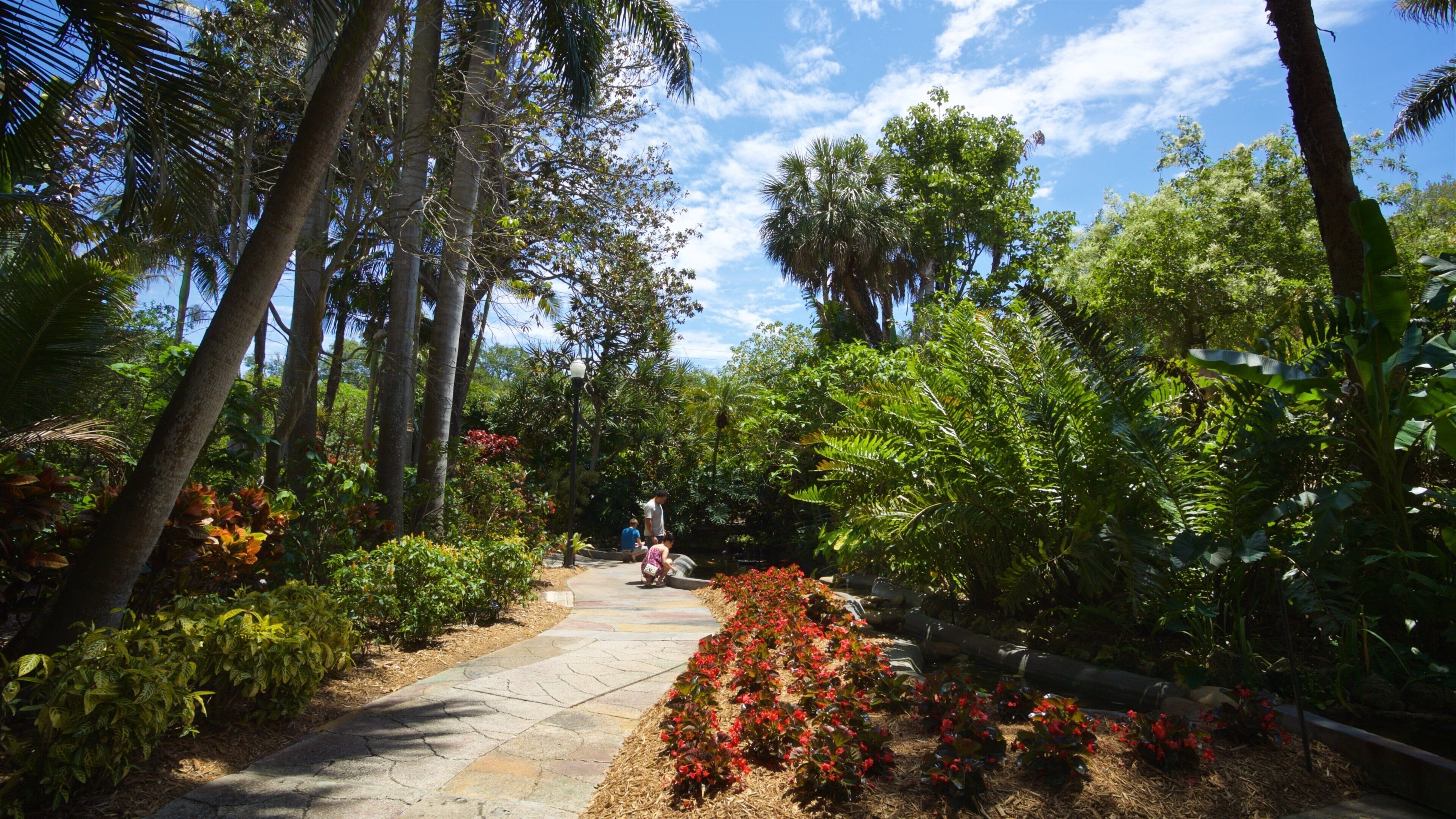 Sunken Gardens which includes wildflowers and a park