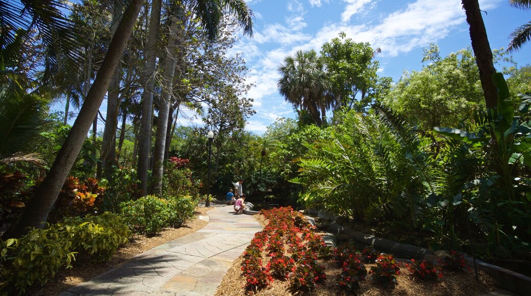 Sunken Gardens which includes wildflowers and a park