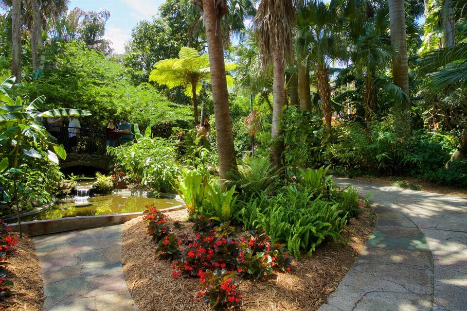 A lush garden with a pond, diverse tropical plants, and a stone pathway.