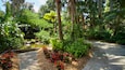 A lush garden with a pond, diverse tropical plants, and a stone pathway.