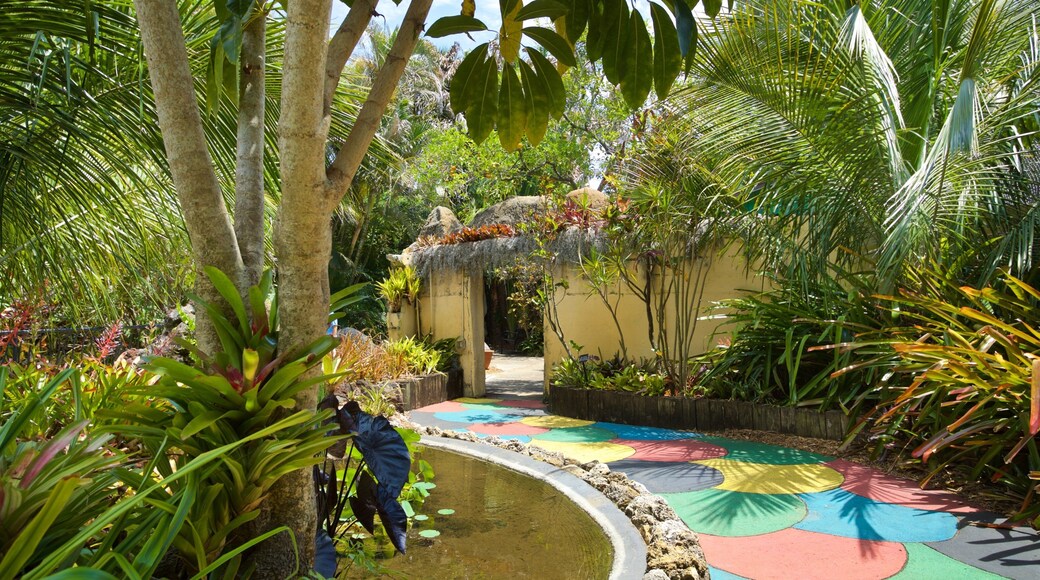 Sunken Gardens featuring a park