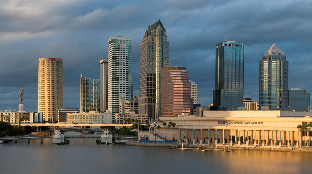Golden light on the Tampa cityscape skyline in Tampa, Florida
