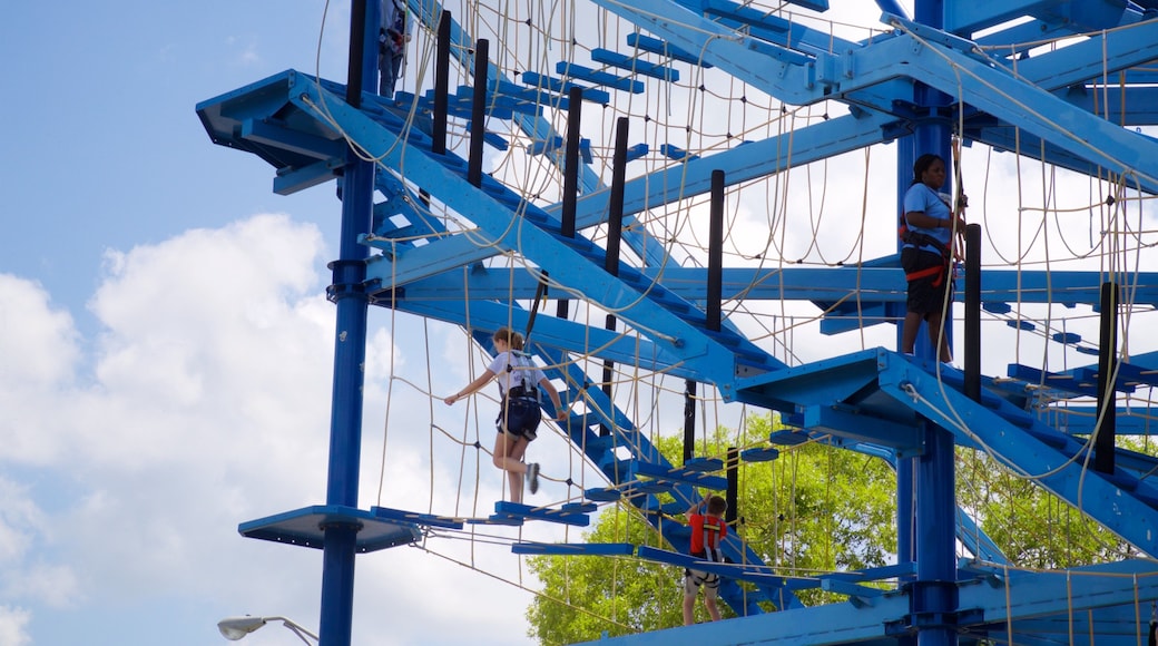 Museum of Science and Industry featuring a suspension bridge or treetop walkway as well as an individual femail