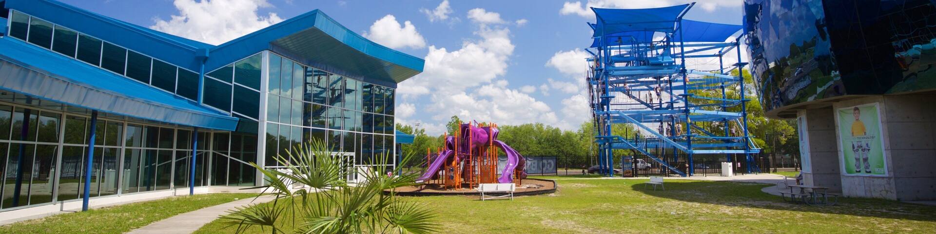 A modern building with blue glass windows, a playground with purple slides, and a blue climbing structure.