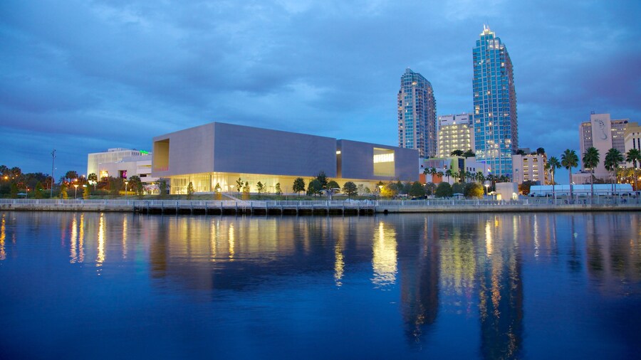 Tampa Museum of Art showing modern architecture, a skyscraper and a bay or harbour