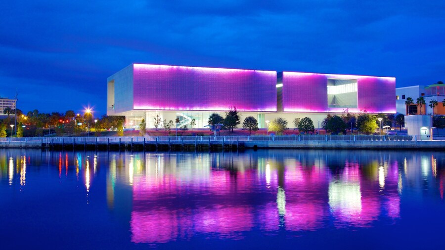 Tampa Museum of Art que incluye escenas de noche y una ciudad