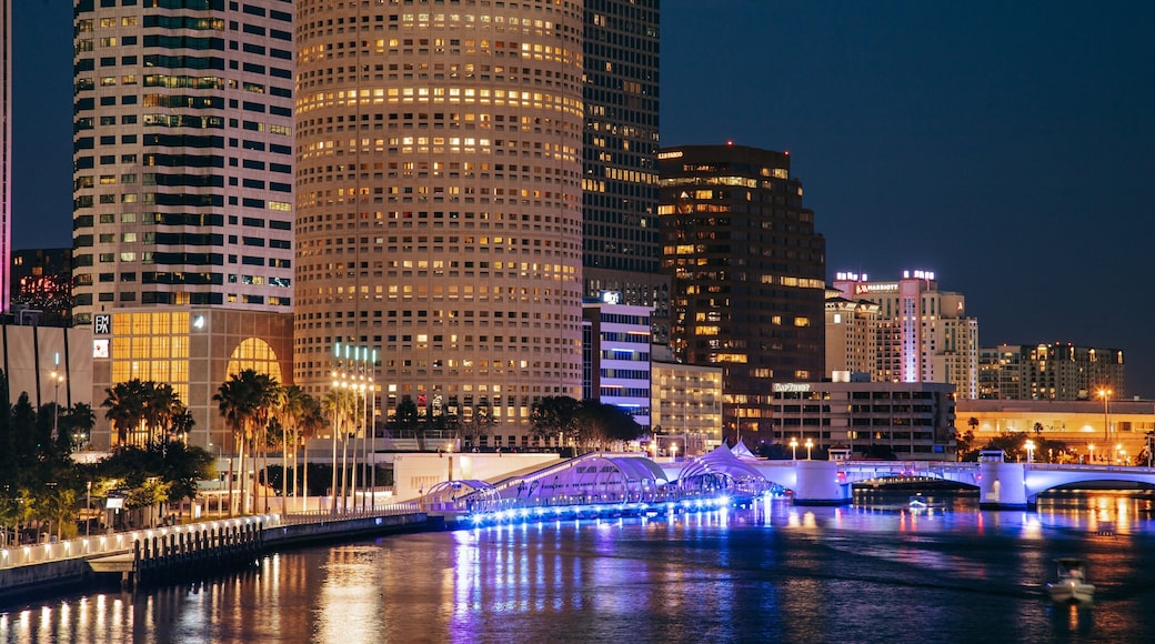 David A. Straz Jr. Center for the Performing Arts featuring a city, a bay or harbor and night scenes
