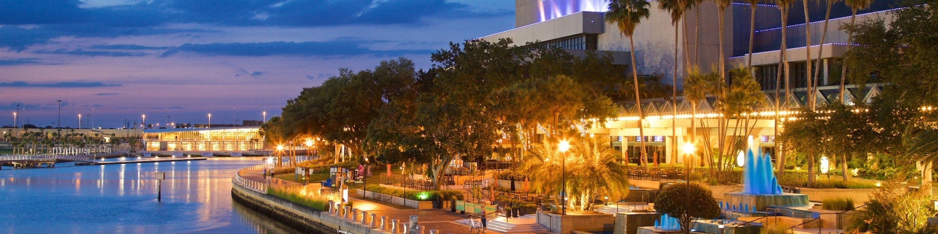 David A. Straz Jr. Center for the Performing Arts