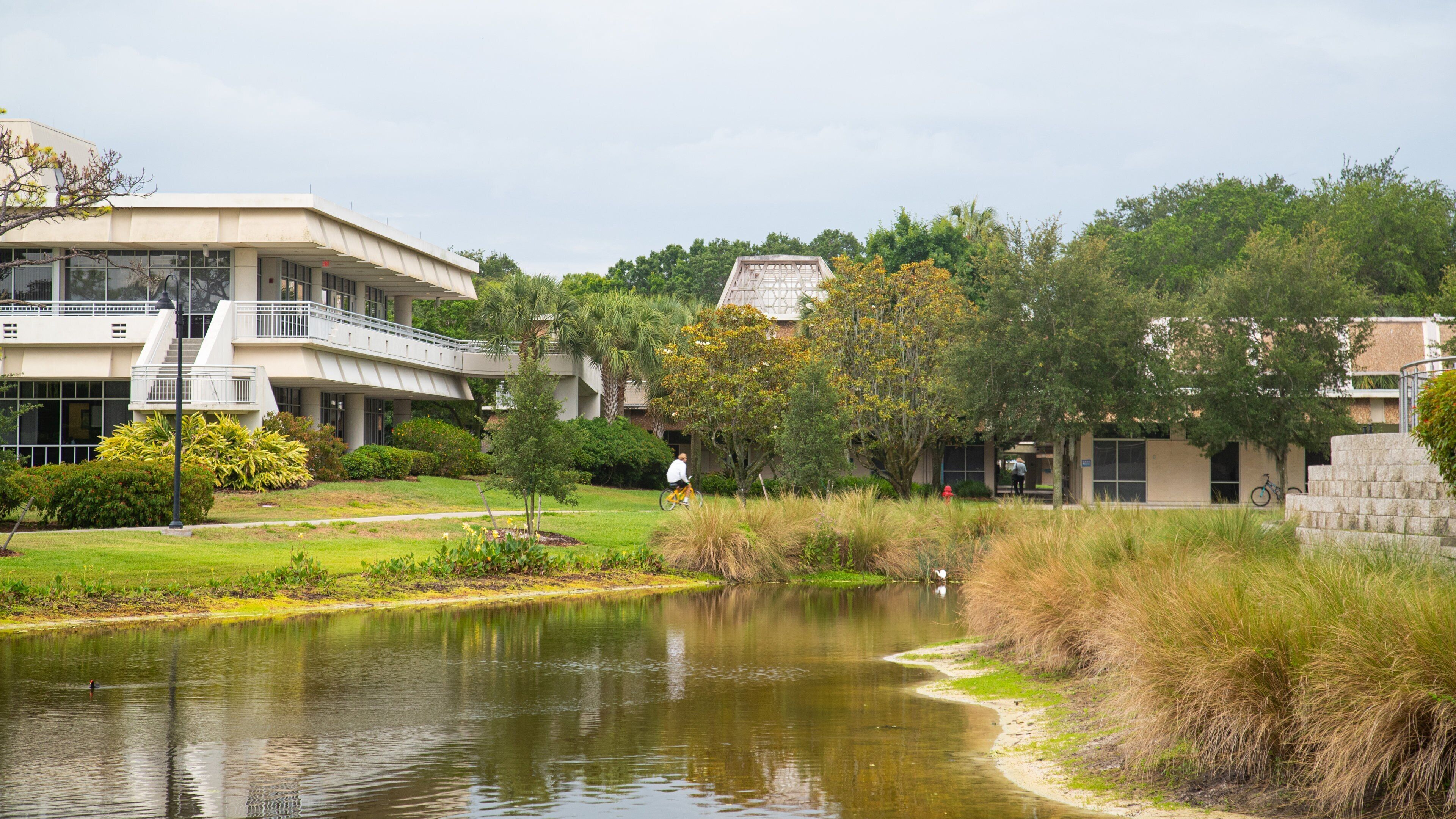 Eckerd College which includes a garden and a pond