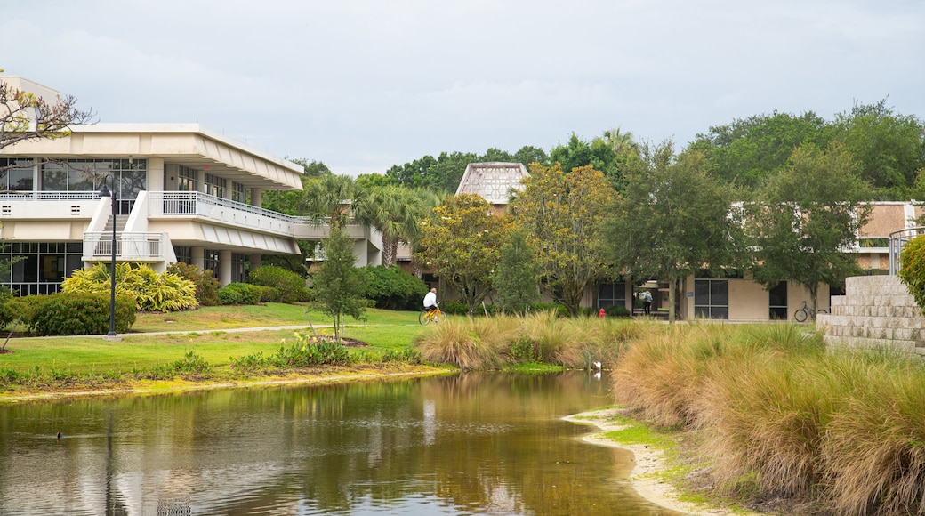 Eckerd College which includes a garden and a pond