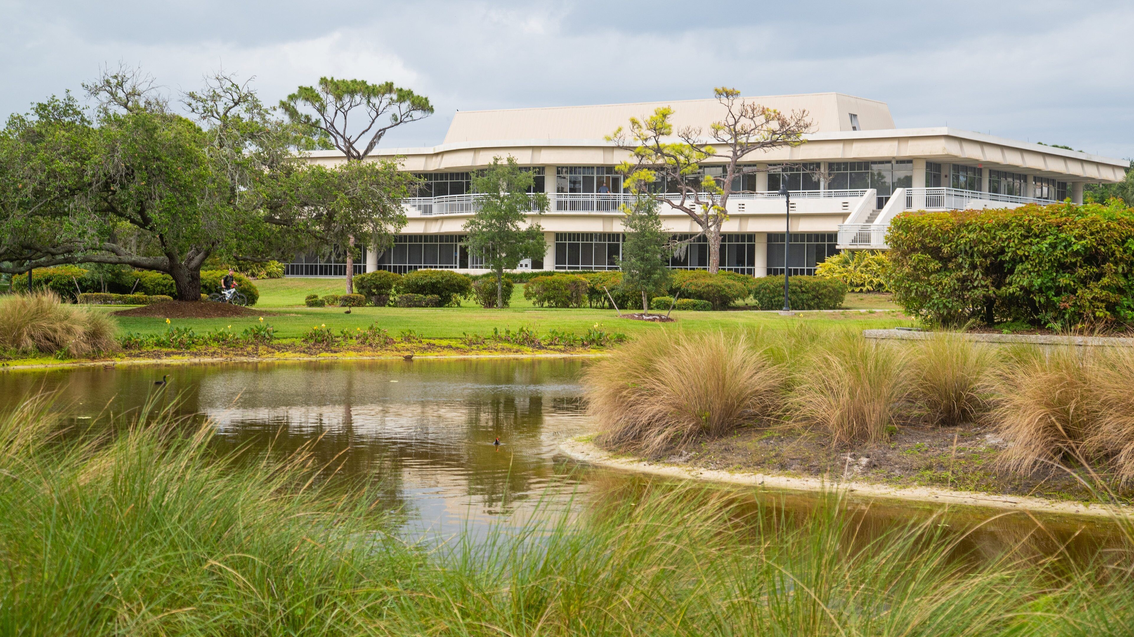 Eckerd College showing a river or creek and a park