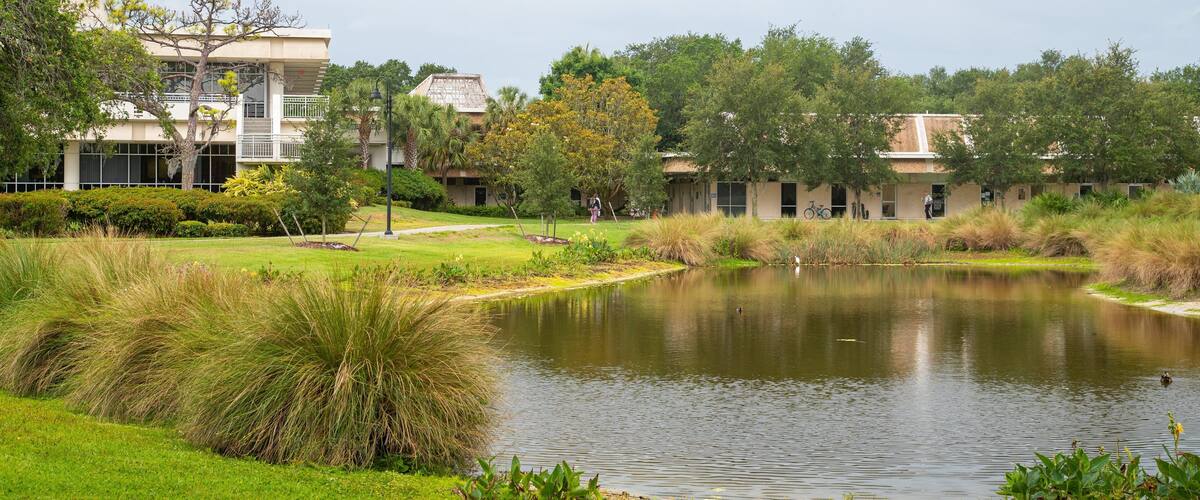 Eckerd College showing a garden and a pond
