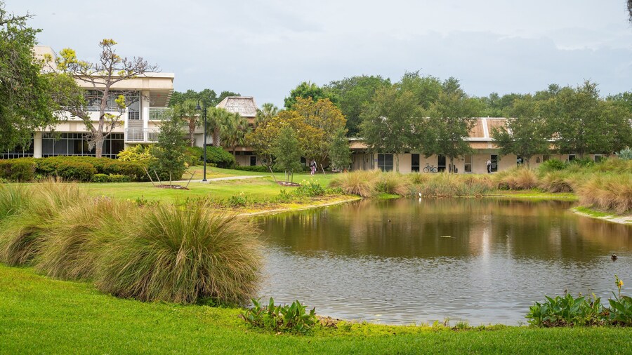 Eckerd College showing a garden and a pond
