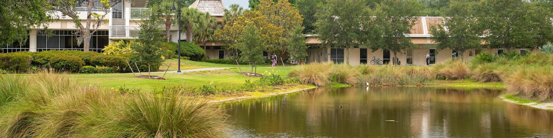 Eckerd College showing a garden and a pond