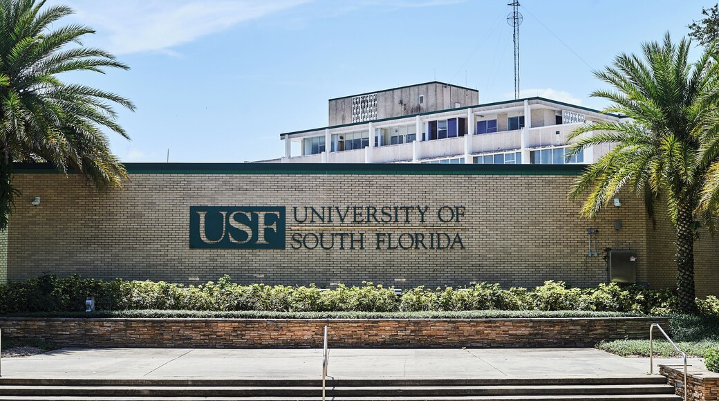 Tampa_UniversityofSouthFlorida_503053_02