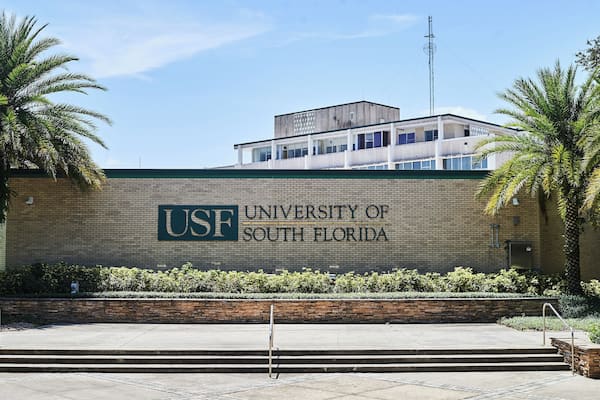 Un edificio de la Universidad de South Florida con un letrero, palmeras y un cielo despejado.
