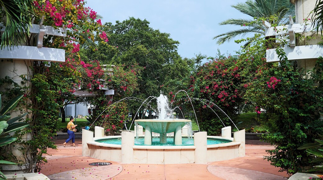 University of South Florida-St. Petersburg