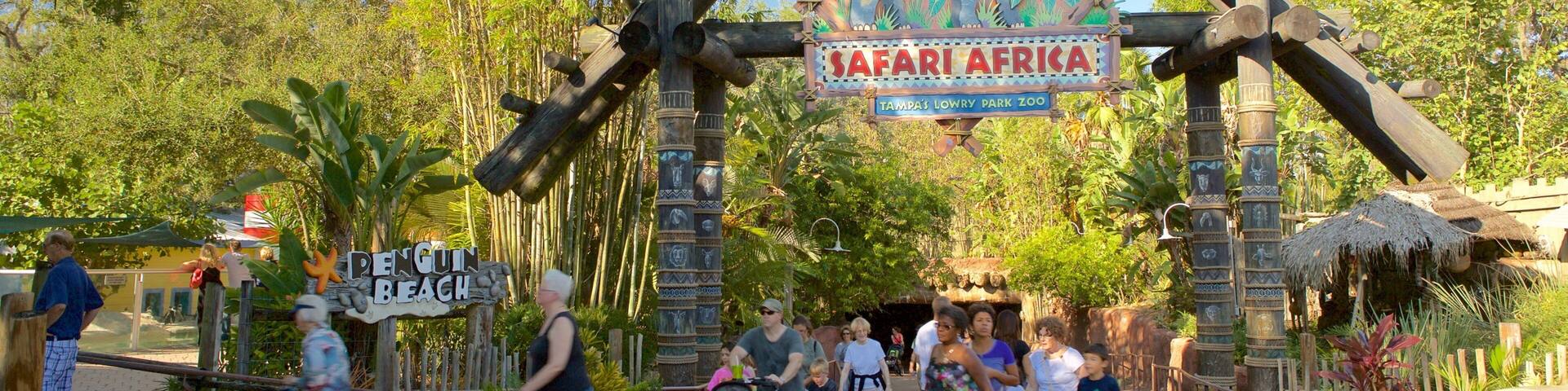 A zoo entrance with a sign for 'Safari Africa' and 'Penguin Beach'.
