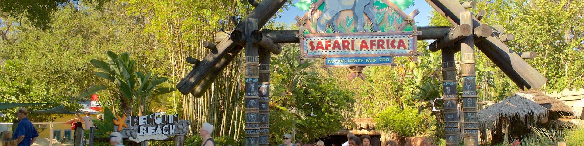A zoo entrance with a sign for 'Safari Africa' and 'Penguin Beach'.