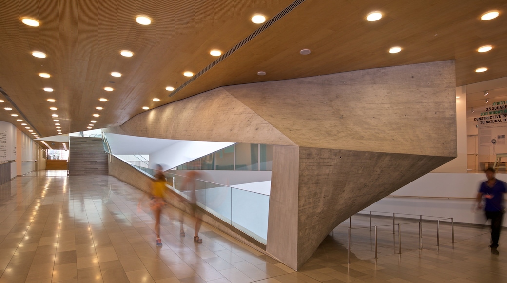 テル アビブ美術館 表示 屋内の眺め