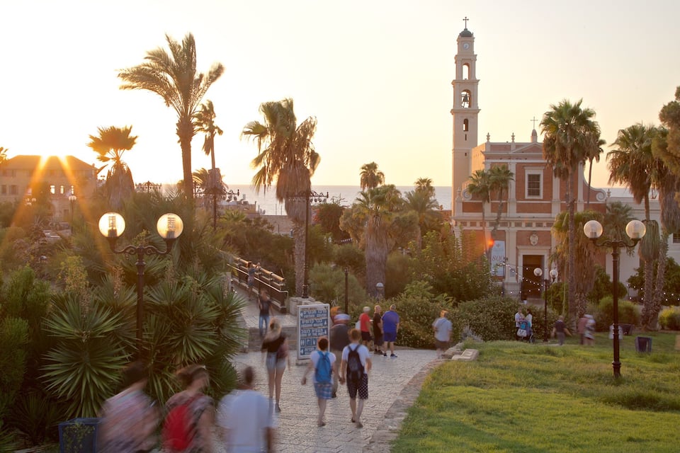 A historic building with a clock tower, palm trees, and a cobblestone pathway.